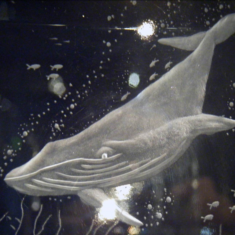 Humpback Whale Glass Piece